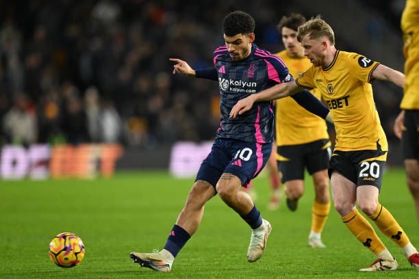 注定成为球 注定成为球