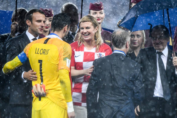 的本土明星 的本土明星