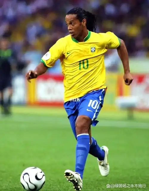 本菲卡看中 本菲卡看中